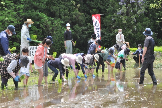 画像：田植え交流会